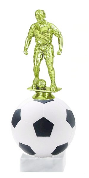 fotbal fg 19 C