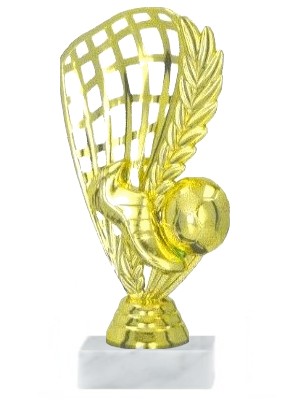 fotbal f 429