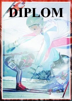diplom 85