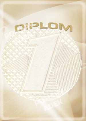 diplom 1