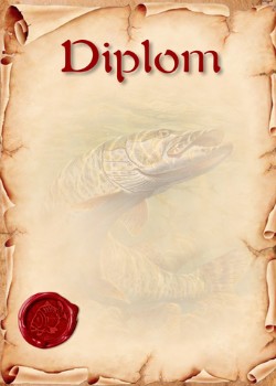 diplom 124