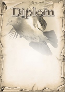 diplom 41