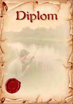 diplom 135