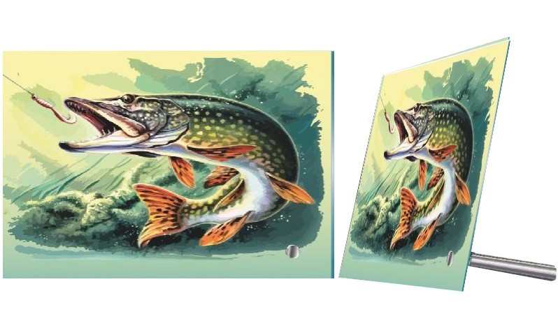 Plaketa PL 203 štika