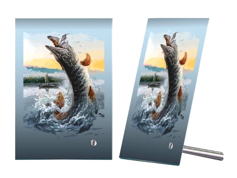 Plaketa PL 204 štika