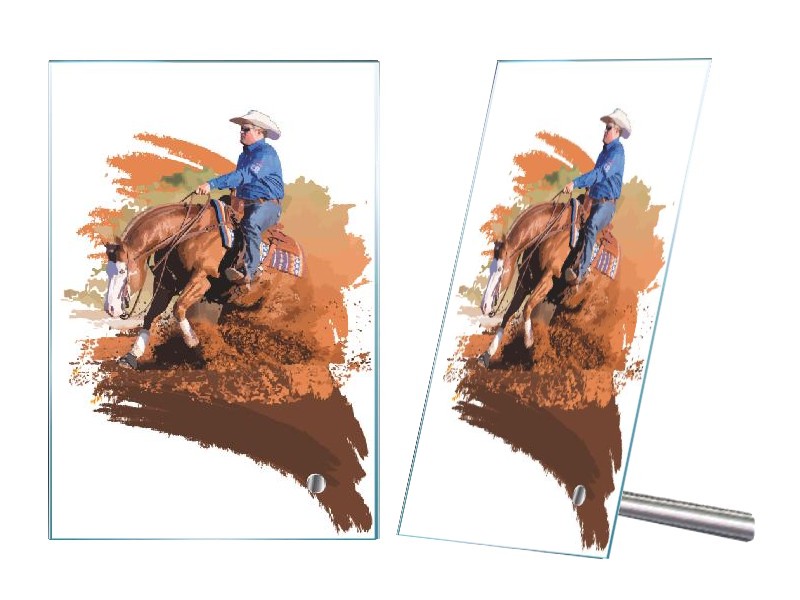 Plaketa PL 406 koně