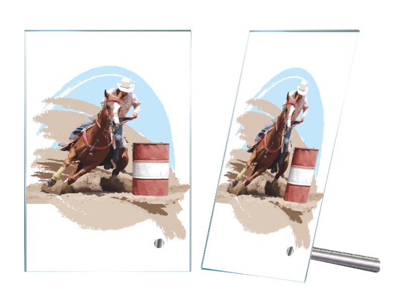 Plaketa PL 407 koně