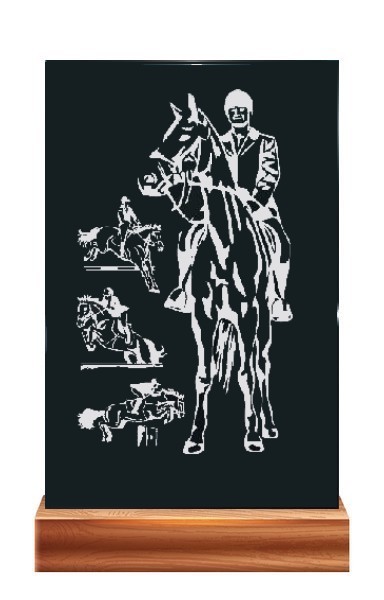 Plaketa PL 110 koně