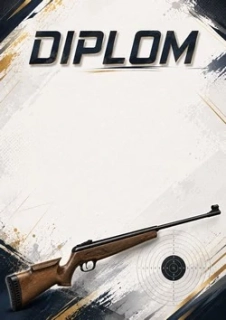 diplom 84