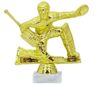 hokej brankář f 181